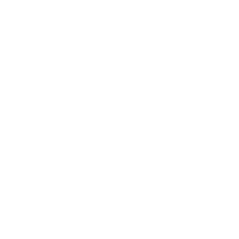 Vision Icon
